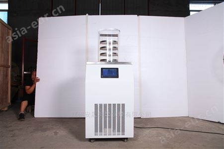 中型实验室低温普通电加热型冷冻干燥机