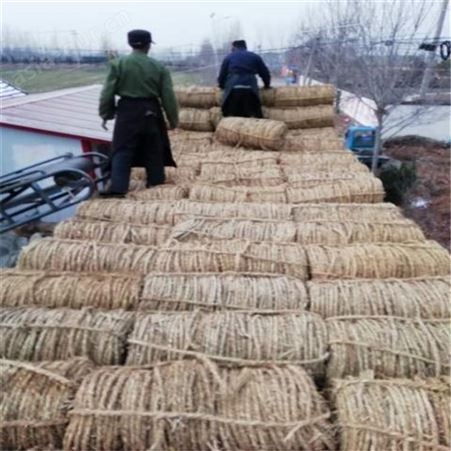 金磊 批量供应 园林苗木包扎稻草绳 管桩专用草绳 规格齐全 