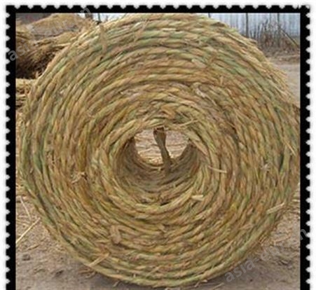 1冬季保温草绳 稻草绳 管桩草绳 园林绿化专用草绳金磊草木