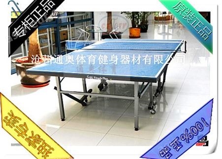 室内乒乓球台，折叠式乒乓球桌，乒乓球桌厂家，移动式乒乓球台
