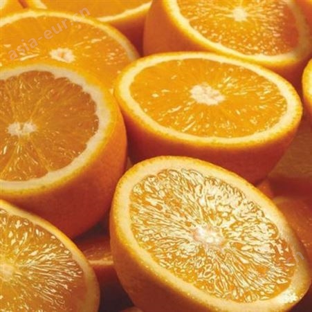 柳橙罐头 柳橙果粒罐头 宁波商家供应  罐头批发
