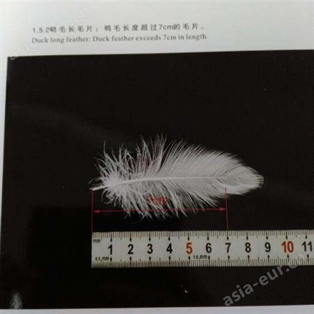 GSB16-2763-2011羽绒羽毛标准样照 鸭绒鹅绒标准评定样照样册图卡