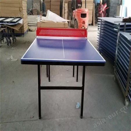 乒乓球台室内折叠可移动标准比赛乒乓球桌家用多功能球馆赛事球台